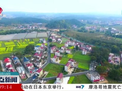 整点新闻20230910 10：00