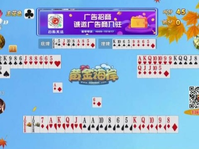 谁是赢家20230901