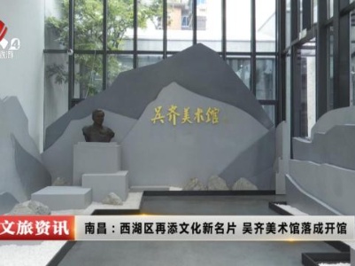 南昌：西湖区再添文化新名片 吴齐美术馆落成开馆