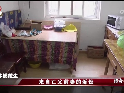 传奇故事20230909 来自亡父前妻的诉讼