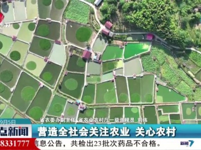整点新闻20230905 12:00