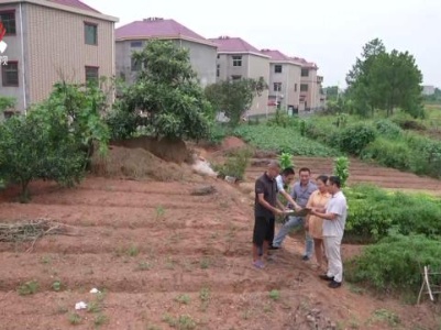 社会传真20230908 规范农村建房管理 建设美丽宜居乡村