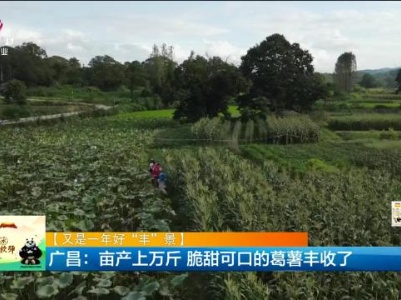 新闻晚高峰20230925