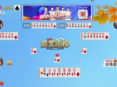 谁是赢家20230913