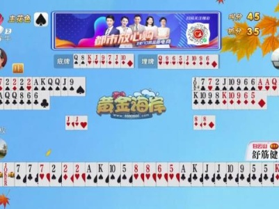 谁是赢家20230902