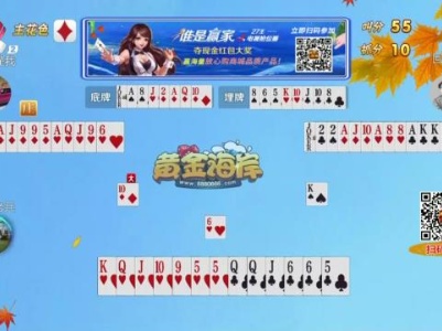 谁是赢家20230904
