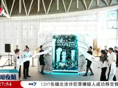 cdf三亚凤凰机场免税店二期开业