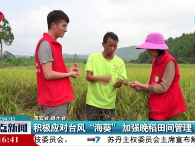 积极应对台风“海葵”加强晚稻田间管理