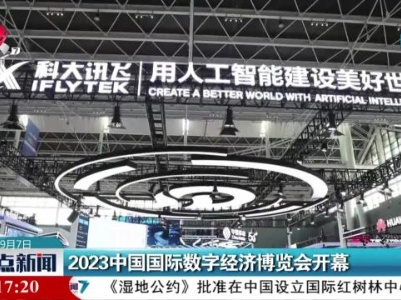 2023年中国国际数字经济博览会开幕