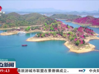 【深化开放合作 推进绿色发展】加快生态价值转换 推动生态优势变发展盛势