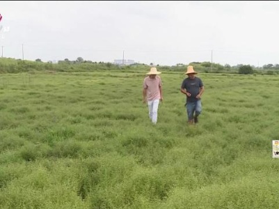 新闻晚高峰20230908