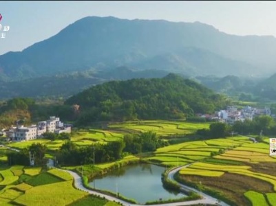 2023年中国邮政“919电商节”启动