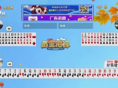 谁是赢家20230905