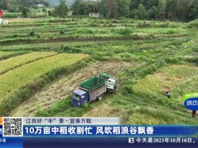 【江西好“丰”景】宜春万载：10万亩中稻收割忙 风吹稻浪谷飘香