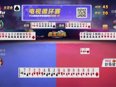 谁是赢家20231030