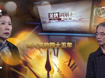 金牌调解20231002 被冷落的四十五年