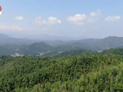 社会传真20231004 山河之间 为国找矿