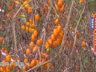 地宝当家20231017