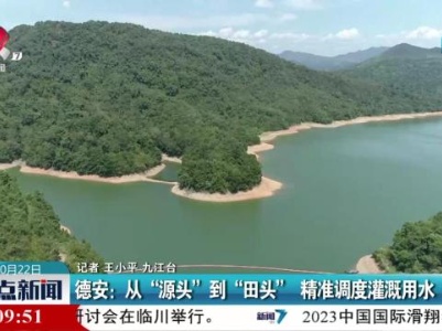 整点新闻20231022 10：00