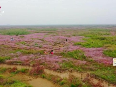 新闻晚高峰20231028