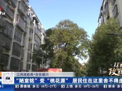都市现场20231028