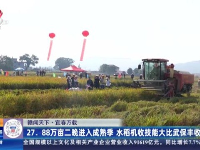 【赣闻天下】宜春万载：27.88万亩二晚进入成熟季 水稻机收技能大比武保丰收