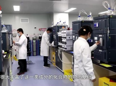 社会传真20231019 因为热爱 努力创造
