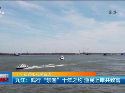 新闻晚高峰20231031