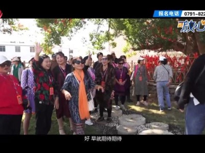 都市放心游20231029