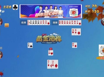谁是赢家20231010