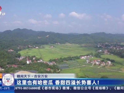 都市现场·午间版20231013