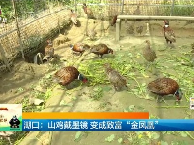 新闻晚高峰20231008