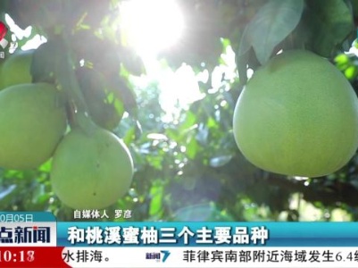 【赣鄱大地喜丰收】“柚”是一年采摘时