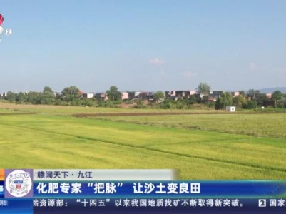 都市现场·午间版20231010