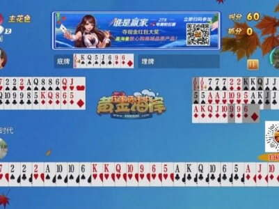 谁是赢家20231017
