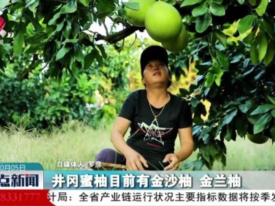 【赣鄱大地喜丰收】“柚”是一年采摘时