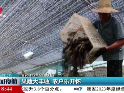 果蔬大丰收 农户乐开怀