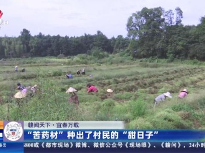 【赣闻天下】宜春万载：“苦药材”种出了村民的“甜日子”