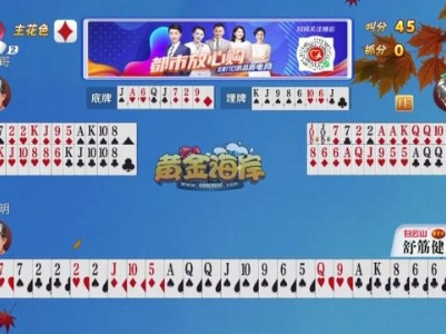谁是赢家20231011