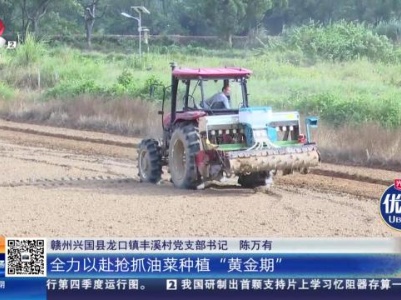 赣州兴国：秋冬不“闲”田 静待油菜花开