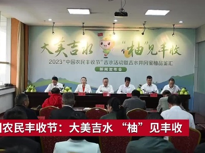中国农民丰收节：大美吉水 “柚”见丰收