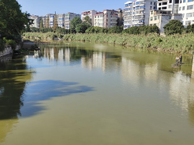 萍乡市园林管理中心：按下建设“加速键” 增绿添景惠民生