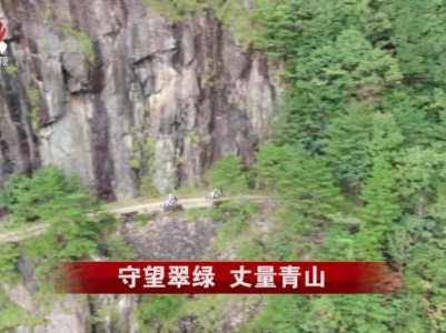 社会传真20231005 守望翠绿 丈量青山