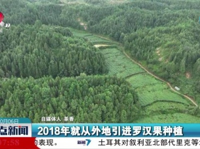 【赣鄱大地喜丰收】铜鼓县：小小罗汉果 农民“致富果”