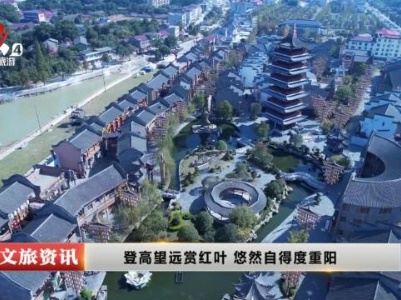 登高望远赏红叶 悠然自得度重阳