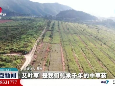 【赣鄱大地喜丰收】婺源县：小艾草变身“吉祥宝”