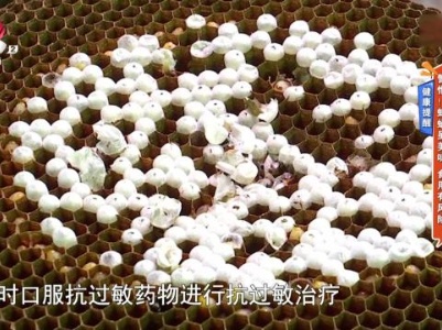 地宝当家20231007