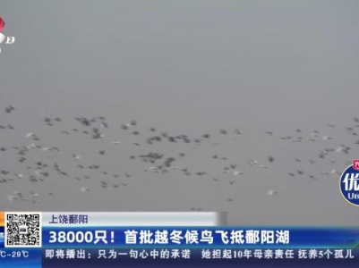 上饶鄱阳：38000只！首批越冬候鸟飞抵鄱阳湖