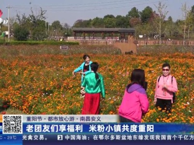 【重阳节·都市放心游】南昌安义：老团友们享福利 米粉小镇共度重阳