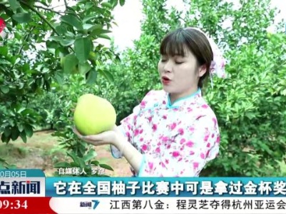 整点新闻20231005 16:00